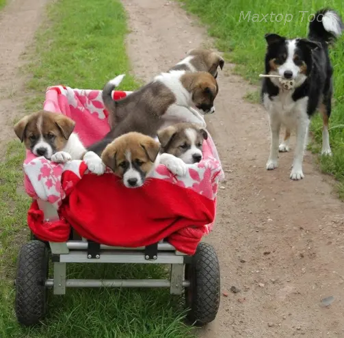 हाथ ट्रक का टायर